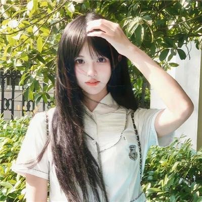 迷蝶